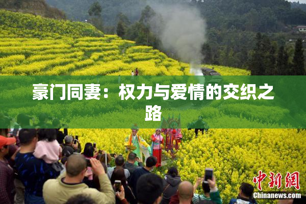 豪门同妻：权力与爱情的交织之路