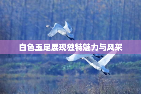 白色玉足展现独特魅力与风采