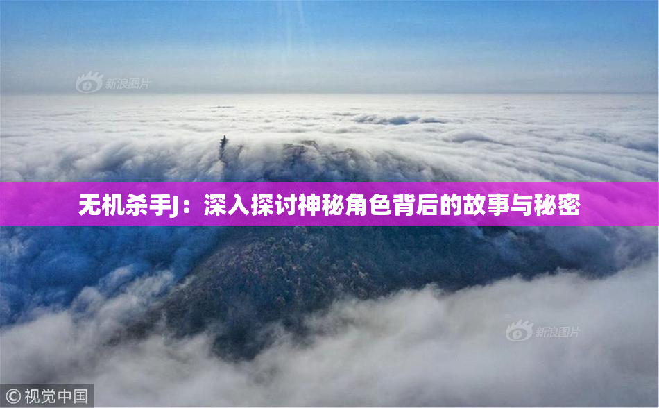 无机杀手J：深入探讨神秘角色背后的故事与秘密