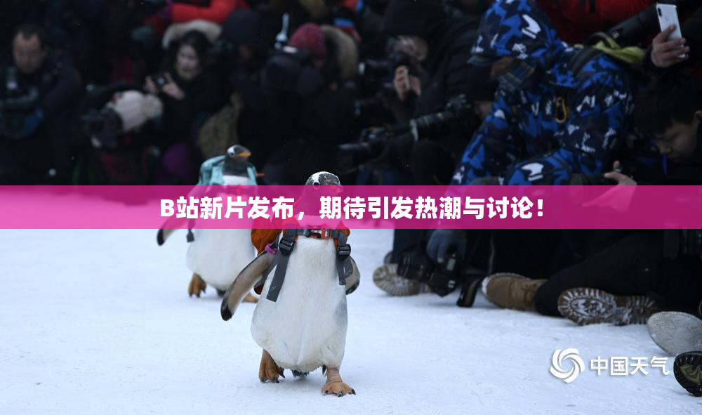 B站新片发布，期待引发热潮与讨论！