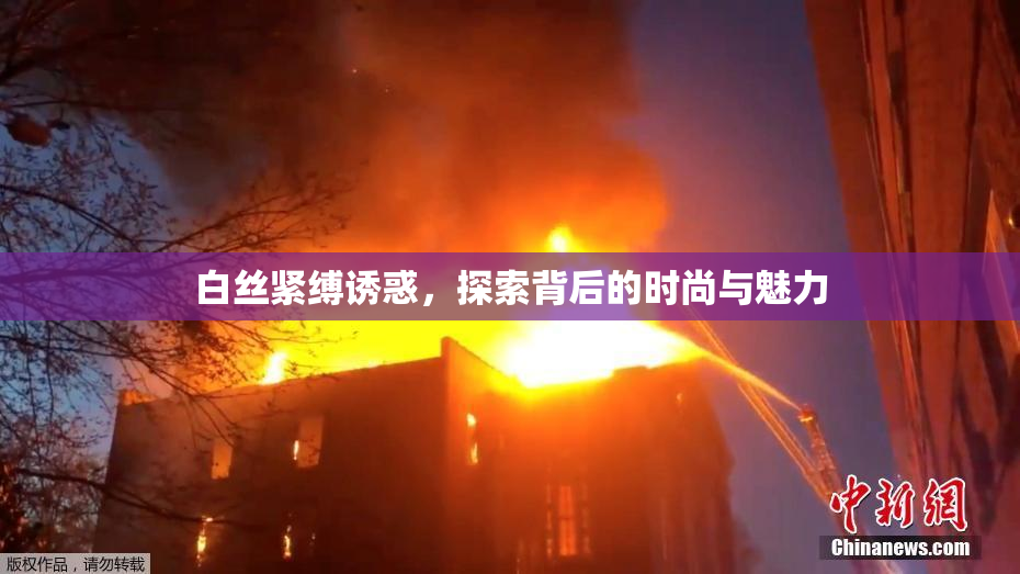白丝紧缚诱惑，探索背后的时尚与魅力