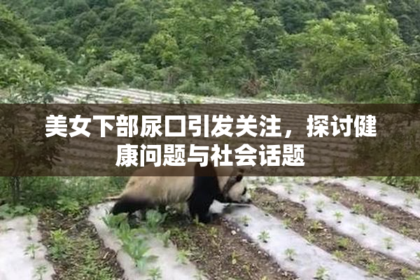 美女下部尿囗引发关注，探讨健康问题与社会话题