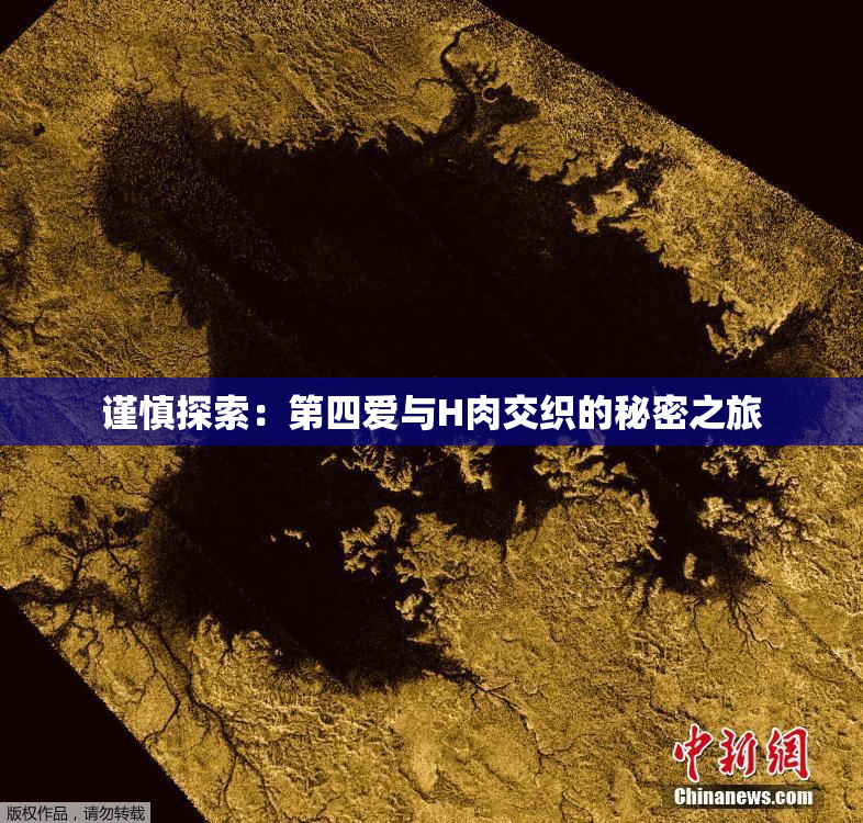 谨慎探索：第四爱与H肉交织的秘密之旅