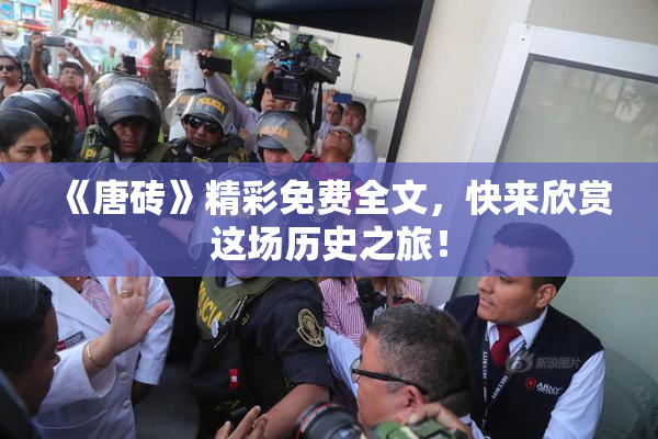 《唐砖》精彩免费全文，快来欣赏这场历史之旅！