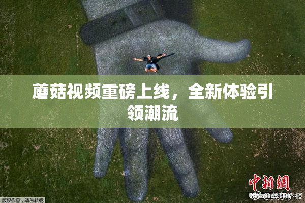 蘑菇视频重磅上线，全新体验引领潮流