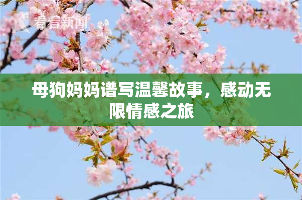 母狗妈妈谱写温馨故事，感动无限情感之旅
