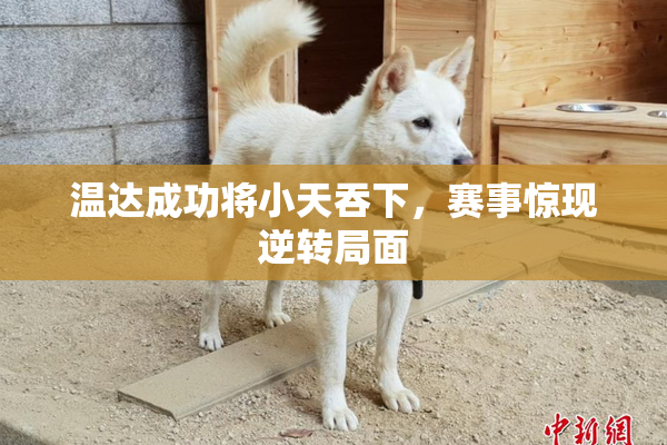 温达成功将小天吞下，赛事惊现逆转局面
