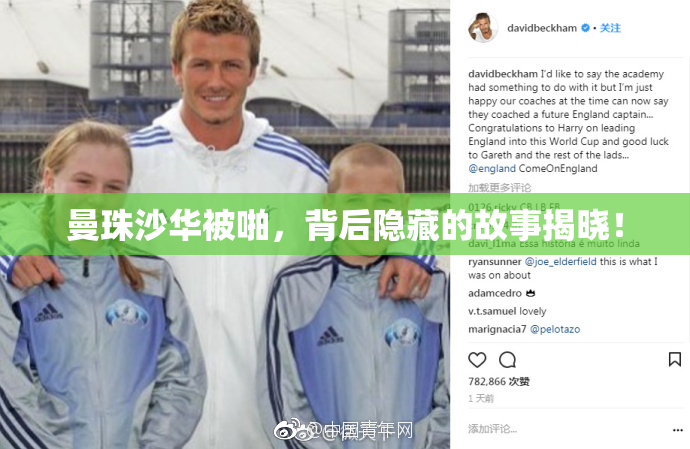曼珠沙华被啪，背后隐藏的故事揭晓！