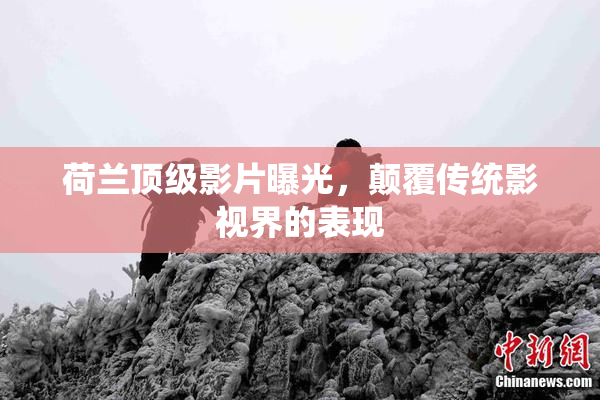 荷兰顶级影片曝光，颠覆传统影视界的表现