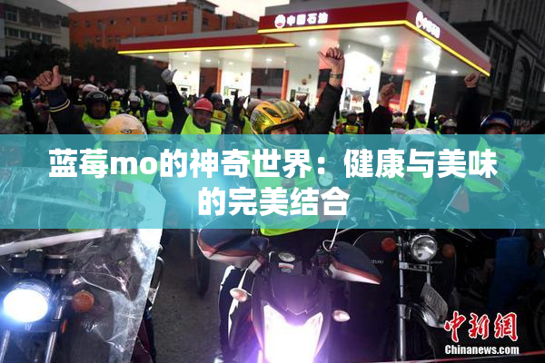 蓝莓mo的神奇世界：健康与美味的完美结合