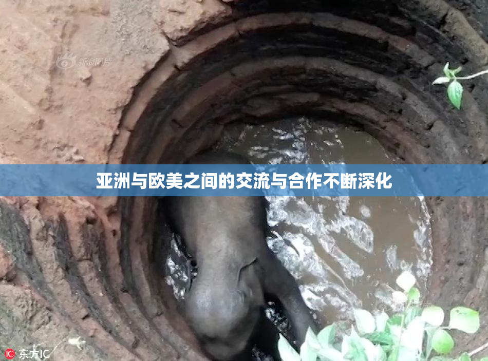 亚洲与欧美之间的交流与合作不断深化