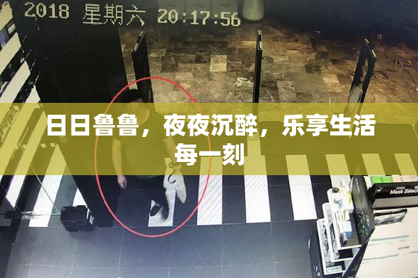 日日鲁鲁，夜夜沉醉，乐享生活每一刻