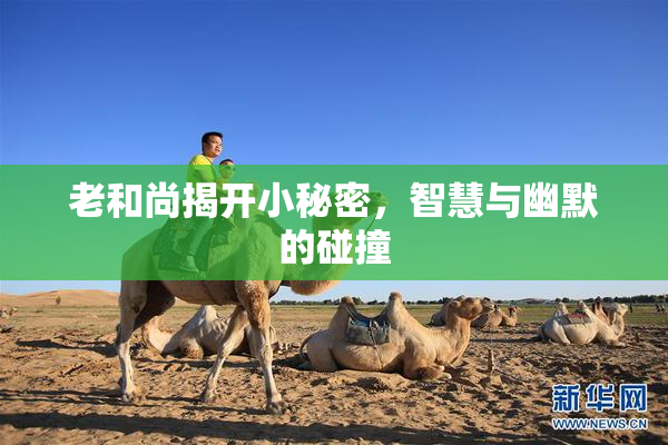 老和尚揭开小秘密，智慧与幽默的碰撞