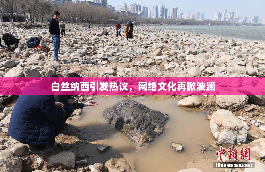 白丝纳西引发热议，网络文化再掀波澜
