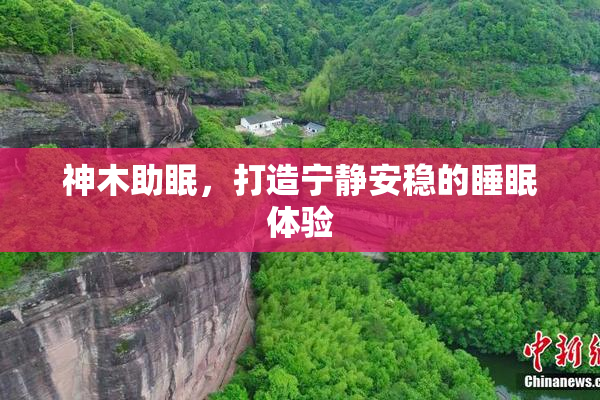 神木助眠，打造宁静安稳的睡眠体验