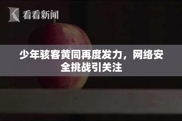 少年骇客黄同再度发力，网络安全挑战引关注