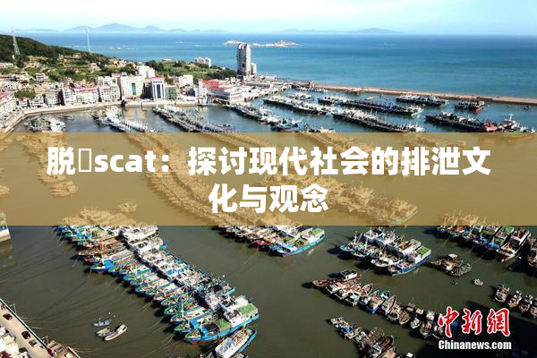 脱糞scat：探讨现代社会的排泄文化与观念