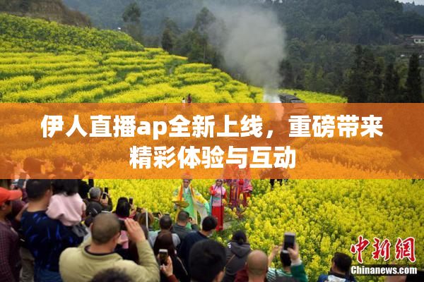 伊人直播ap全新上线，重磅带来精彩体验与互动