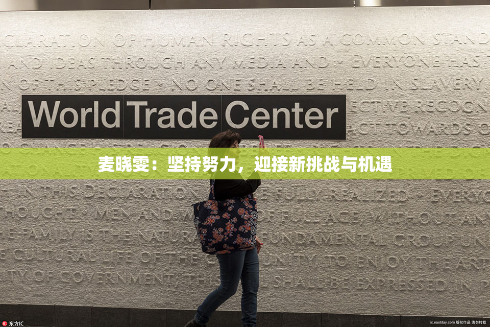 麦晓雯：坚持努力，迎接新挑战与机遇