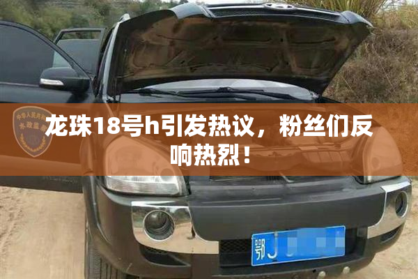 龙珠18号h引发热议，粉丝们反响热烈！