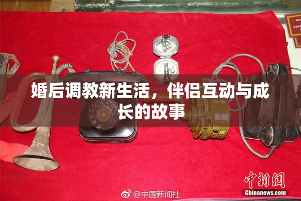 婚后调教新生活，伴侣互动与成长的故事