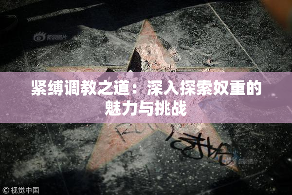 紧缚调教之道：深入探索奴重的魅力与挑战