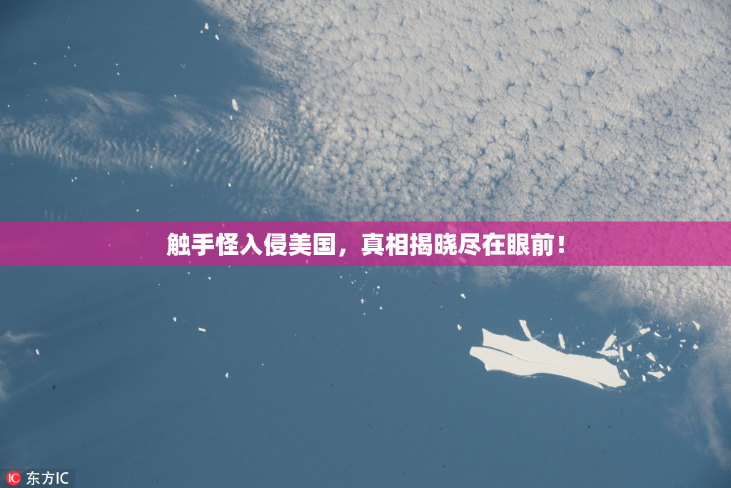 触手怪入侵美国，真相揭晓尽在眼前！