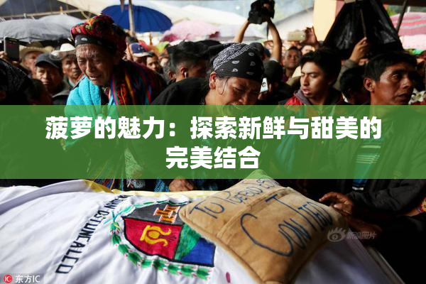 菠萝的魅力：探索新鲜与甜美的完美结合