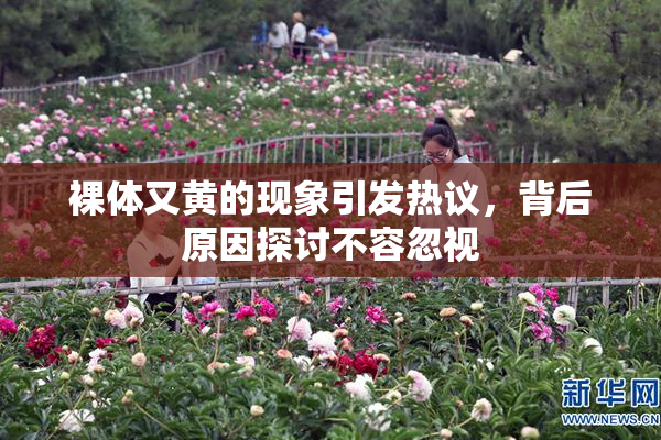 裸体又黄的现象引发热议，背后原因探讨不容忽视