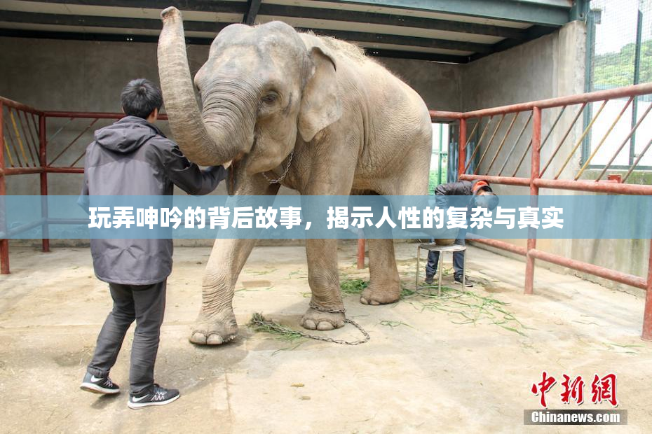 玩弄呻吟的背后故事，揭示人性的复杂与真实