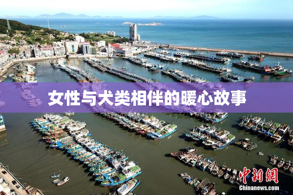 女性与犬类相伴的暖心故事