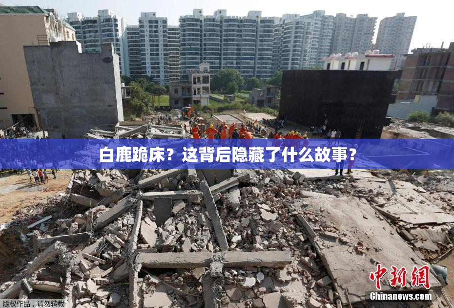 白鹿跪床？这背后隐藏了什么故事？