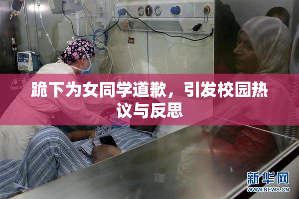 跪下为女同学道歉，引发校园热议与反思