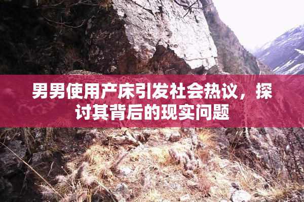 男男使用产床引发社会热议，探讨其背后的现实问题