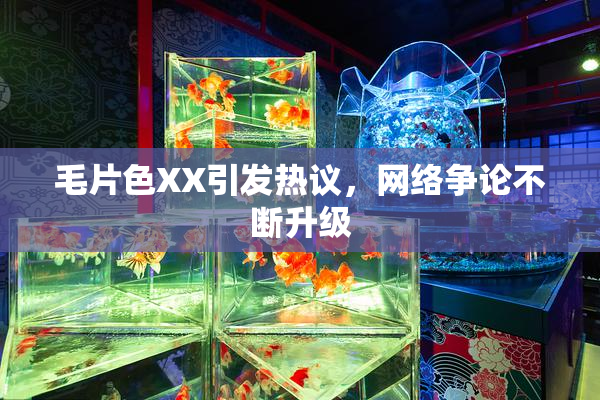 毛片色XX引发热议，网络争论不断升级