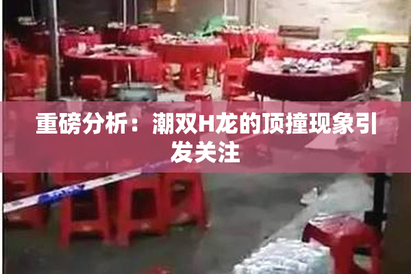 重磅分析：潮双H龙的顶撞现象引发关注