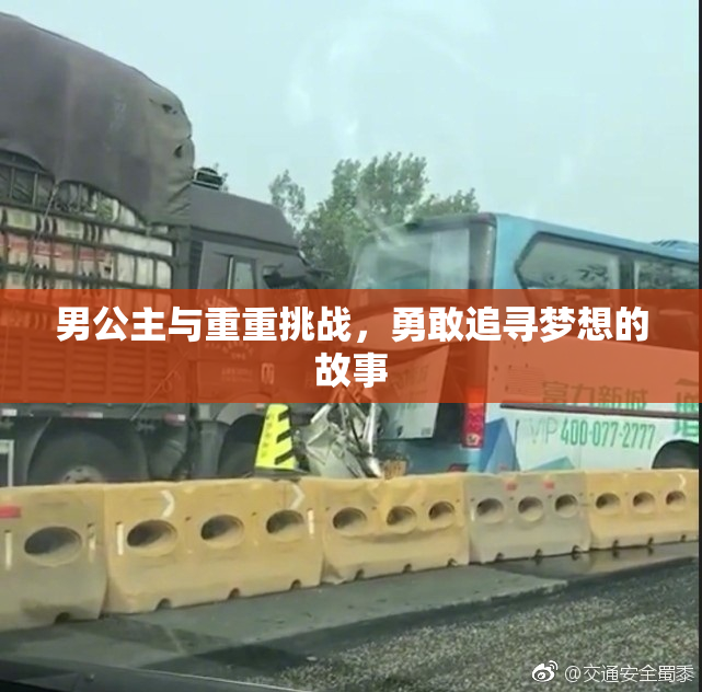 男公主与重重挑战，勇敢追寻梦想的故事