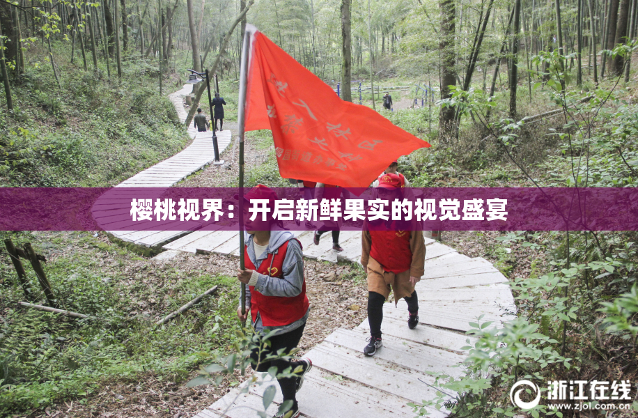樱桃视界：开启新鲜果实的视觉盛宴