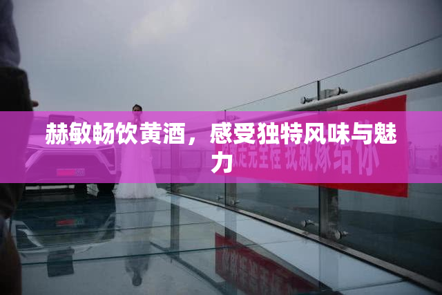 赫敏畅饮黄酒，感受独特风味与魅力
