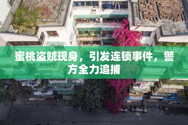 蜜桃盗贼现身，引发连锁事件，警方全力追捕