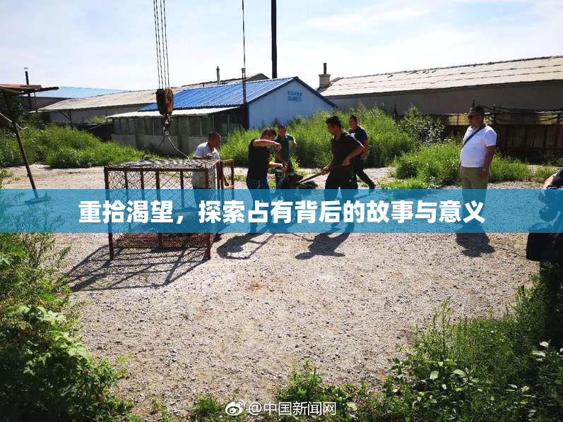 重拾渴望，探索占有背后的故事与意义