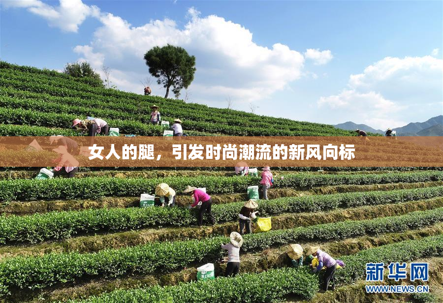 女人的腿，引发时尚潮流的新风向标