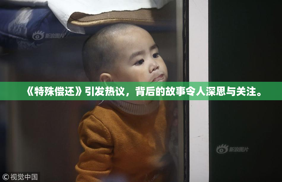 《特殊偿还》引发热议，背后的故事令人深思与关注。