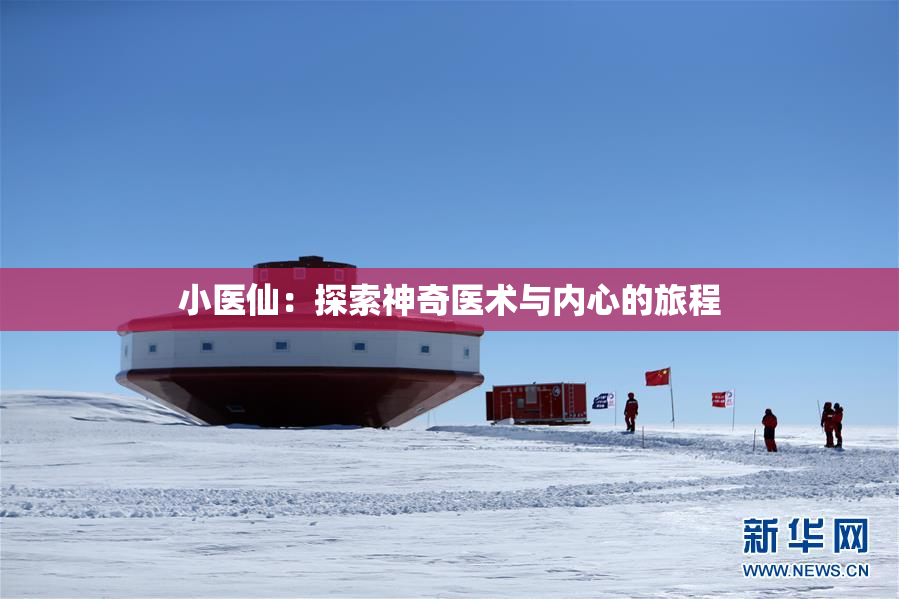 小医仙：探索神奇医术与内心的旅程