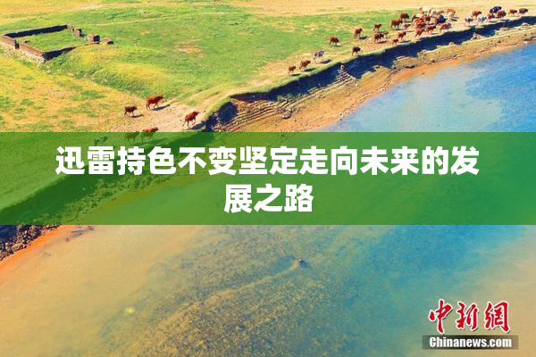 迅雷持色不变坚定走向未来的发展之路