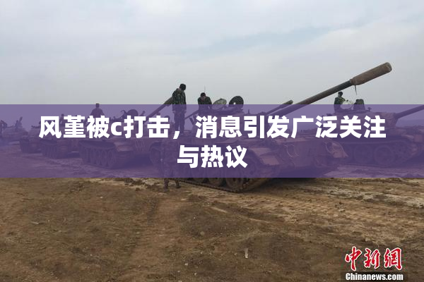 风堇被c打击，消息引发广泛关注与热议