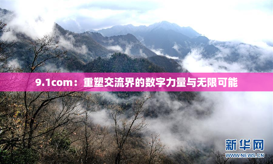 9.1com：重塑交流界的数字力量与无限可能