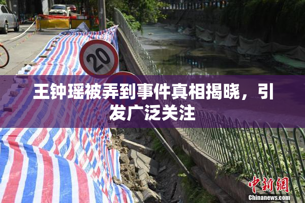 王钟瑶被弄到事件真相揭晓，引发广泛关注