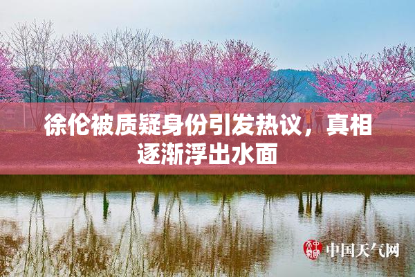 徐伦被质疑身份引发热议，真相逐渐浮出水面