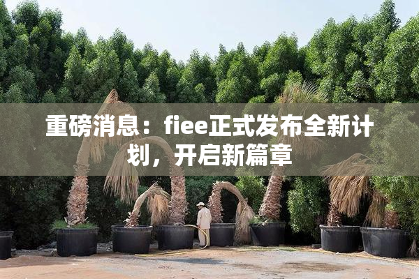 重磅消息：fiee正式发布全新计划，开启新篇章